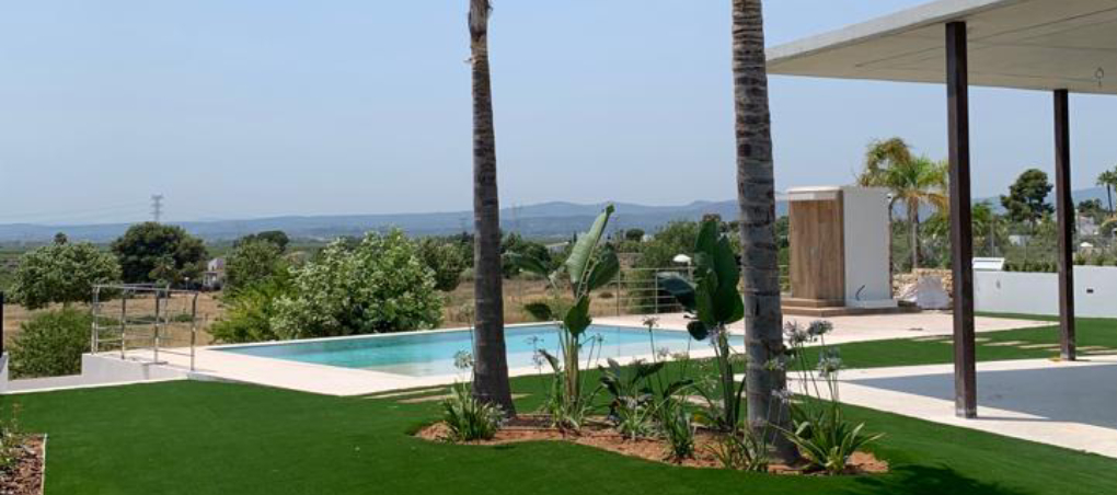 Poda de palmera.