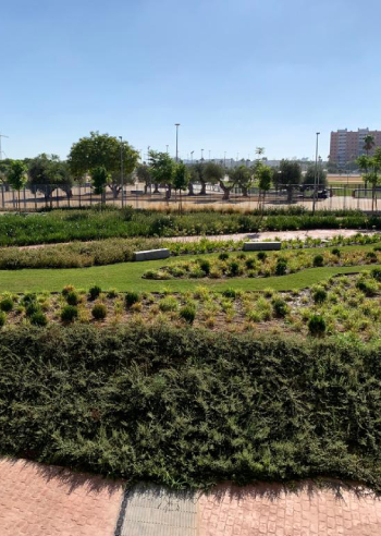 Obra pública de la Universidad de Loyola, realizada por World Plant.