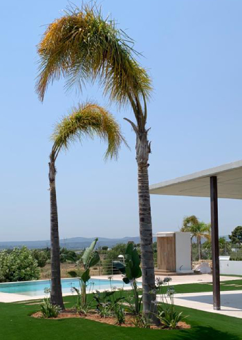 Obra de jardín privado realizado por World Plant SL. 