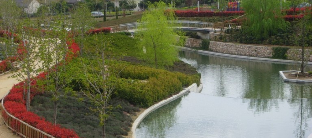 Servicios de jardinería en obra pública. Parque de las Cárcavas, realizado por World Plant. 