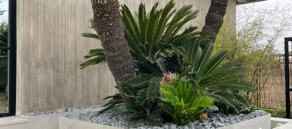 Servicios de diseño y paisajismo, realizado por World Plant en residencia privada. 