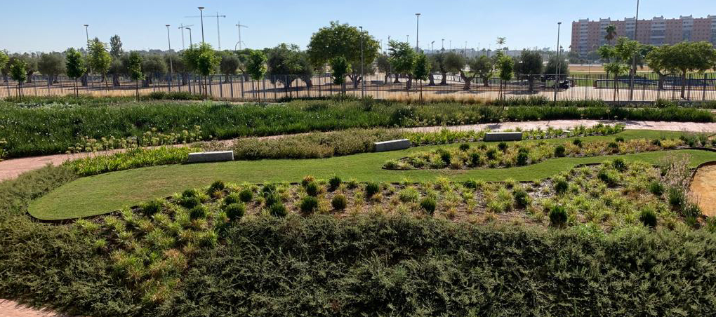 Servicios de mantenimiento en obra pública. Universidad de Loyola, realizado por World Plant.