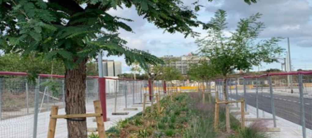 Proyecto Prat Vermell, en Barcelona. 