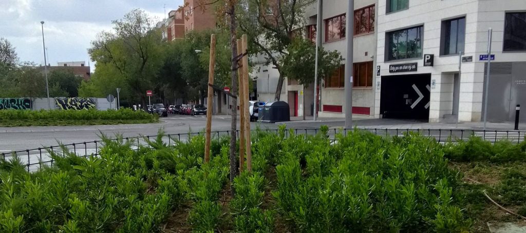 Proyecto de San Martín, Madrid. 